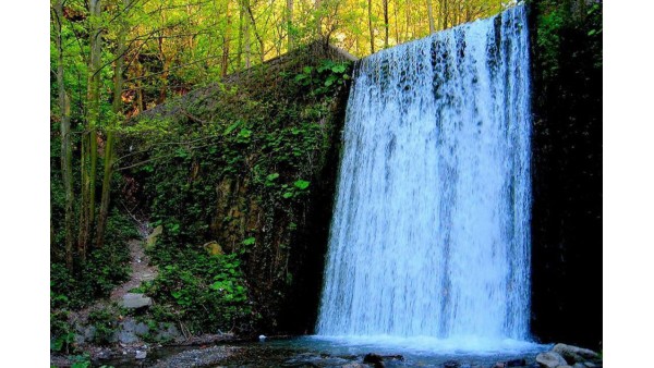 Günübirlik Sapanca Maşukiye Ormanya Turu